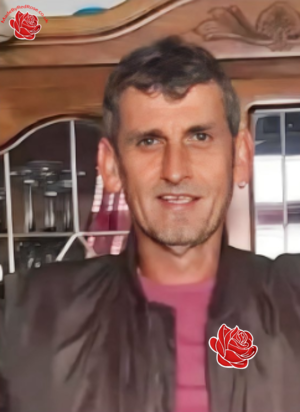 Mark Howlett – profile image
